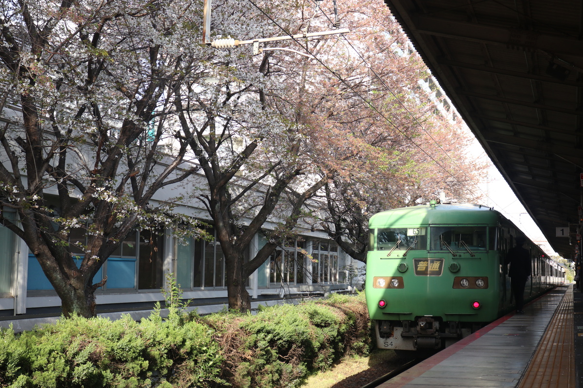 117系と大津駅の桜